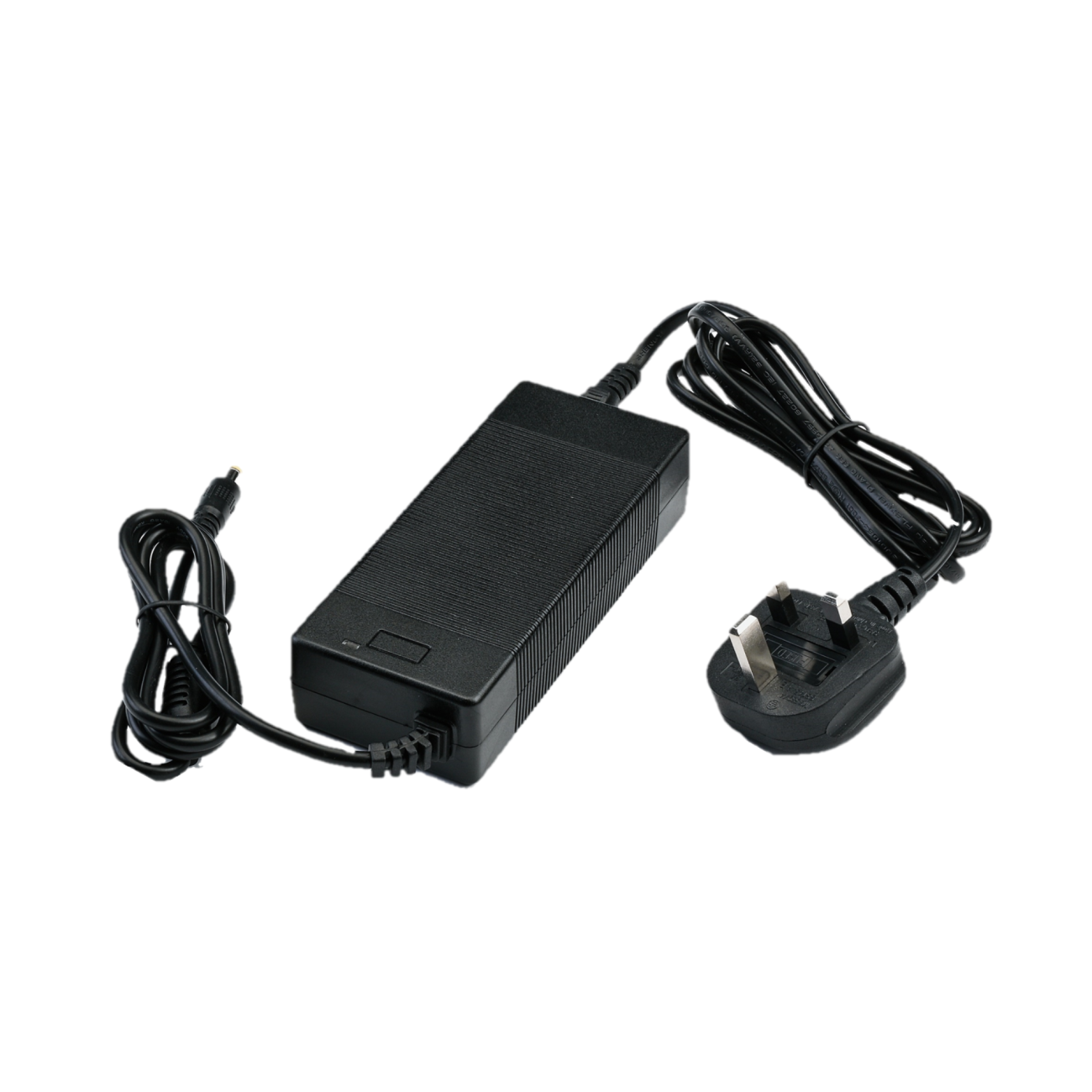 36V 1000H Battery Charger