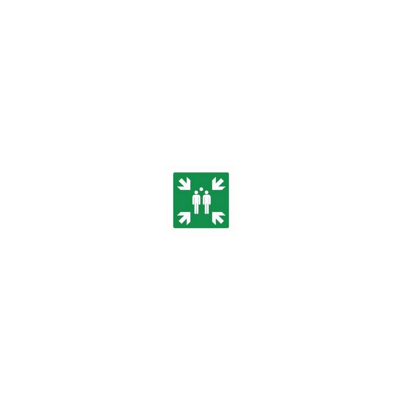 Pictogram sticker Verzamelplaats 200x200mm